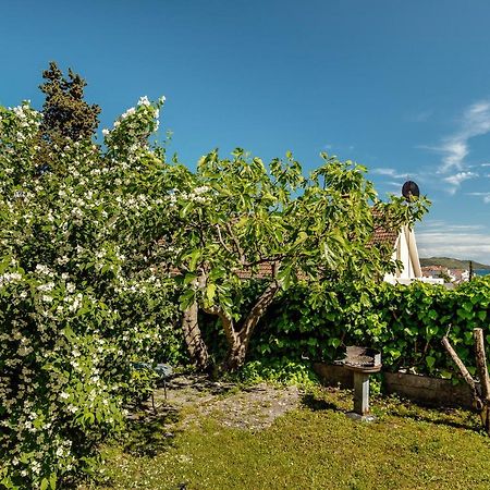 Green Garden Apartments Herceg Novi Eksteriør bilde