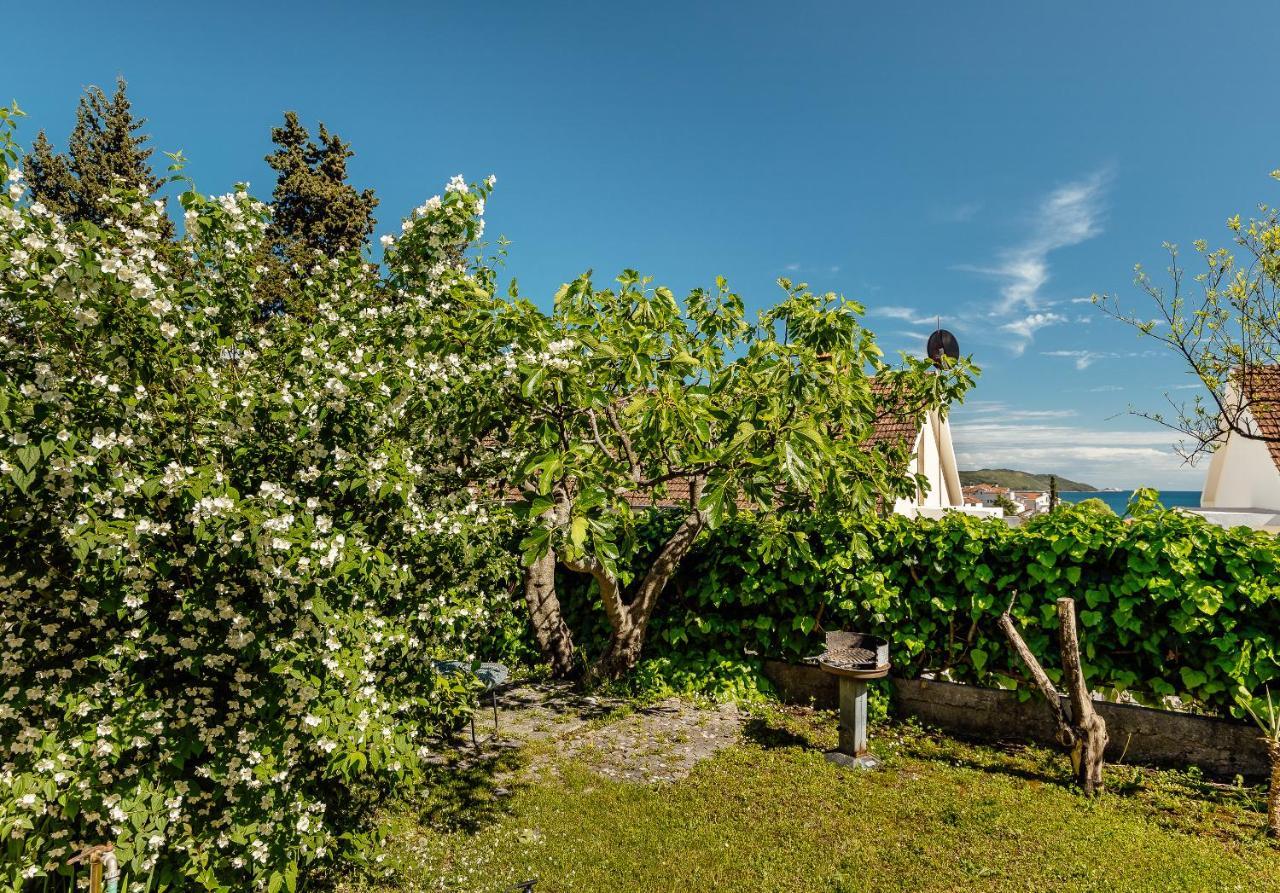 Green Garden Apartments Herceg Novi Eksteriør bilde