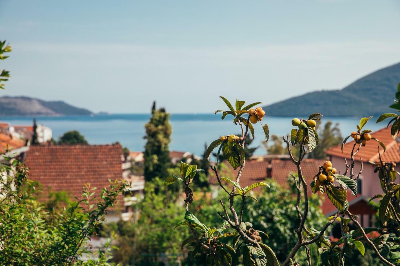 Green Garden Apartments Herceg Novi Eksteriør bilde